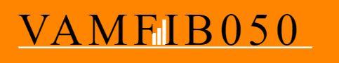 Vamfibo